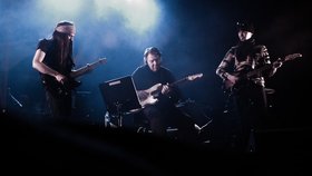 2009-055-cc-noranes-n3.jpg