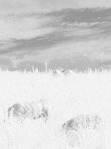 01_2013-032-cc-noranes-to-og-to.jpg