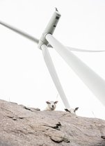 28_2015-026-cc-noranes-den-utpekte.jpg