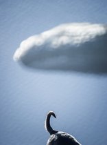 31_2015-001-cc-noranes-sky.jpg