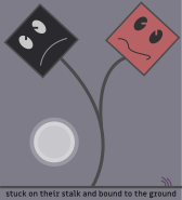 Recent experiments