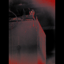 terrible_bird.jpg