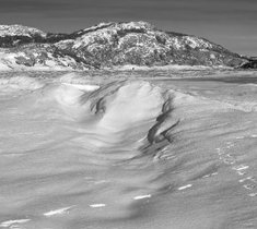 02_2010-007-cc-noranes-lomsesanden.jpg