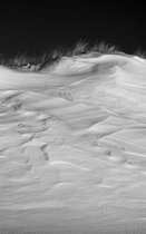 05_2010-004-cc-noranes-listastrand.jpg