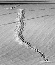 06_2013-004-cc-noranes-fiskebein.jpg