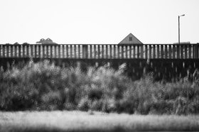 11b_2020-005-cc-noranes-vaagsvoll.jpg