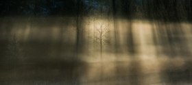 22_2012-055-cc-noranes-morgentaake.jpg